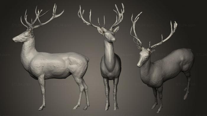 Статуэтки животных (Золотой олень, STKJ_0052) 3D модель для ЧПУ станка